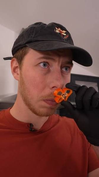 Calfreezy x Google Gemini - cooking hot sauce with AI prompts